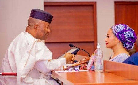 Natasha Akpoti saga: Face reality and do what is right, Saraki tells Akpabio