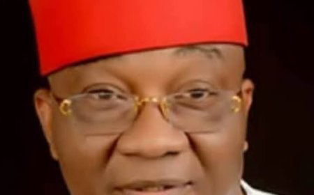 Former Foreign Affairs Minister, Dubem Onyia, Dies @ 73 In Abuja