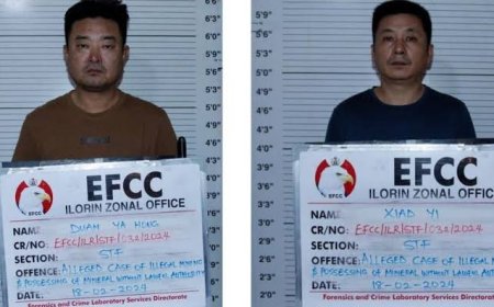 Court Jails Two Chinese for Illegal Mining in Kwara