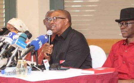 Obi to NASS: Your use of voice vote on crucial national matters is adding salt to injury.