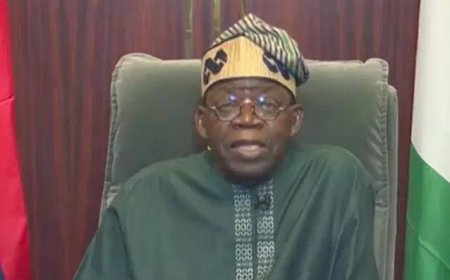 NASS: How not to overburden the donkey