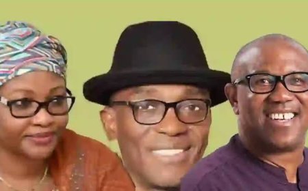 The Outburst by The Abure-Led LP Faction Against Nnenadi Usman, A Contrived Attack on Peter Obi?