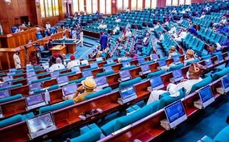 Bill to strip vice president, governors and deputies of immunity passes second reading at House of Representatives