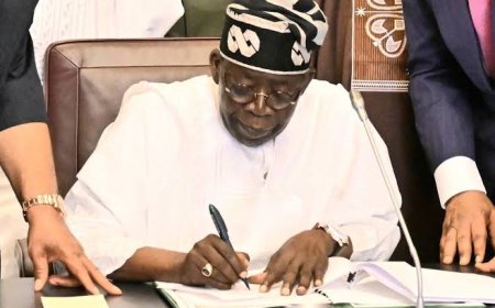 Tinubu trades off high political risks for Nigeria's economic reforms - Group