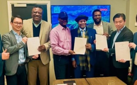 Nigeria Signs 2,600MW Solar Deal With LONGi