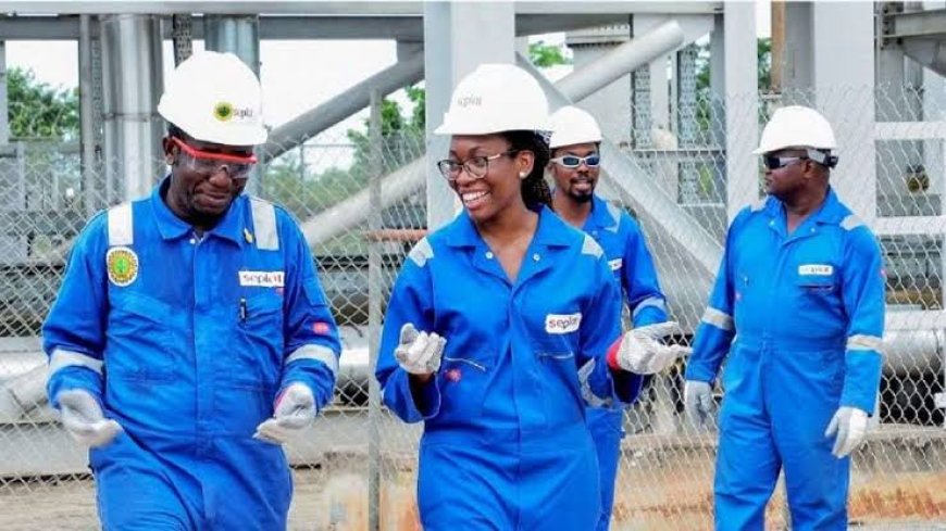 Seplat Energy’s Revenue Rises to N1.652 trillion in 2024