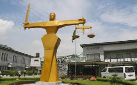 Court Orders Final Forfeiture of Abuja, Kano Properties Linked To Aminu Sidi  Garunbabba