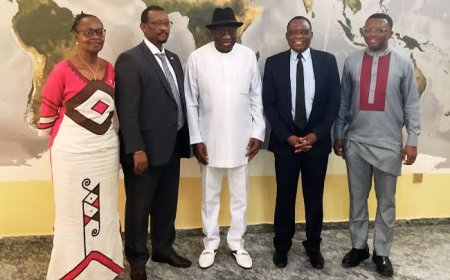 Jonathan tasks African leaders on political will to drive innovative policies and improve food production
