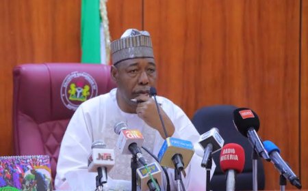 Terrorism: Borno Is Losing Ground To Boko Haram, Says Zulum
