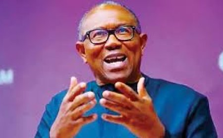 Obi Raises Alarm, Says Nigeria Collapsing,