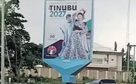 Presidency Disclaims 2027 Campaign Billboards