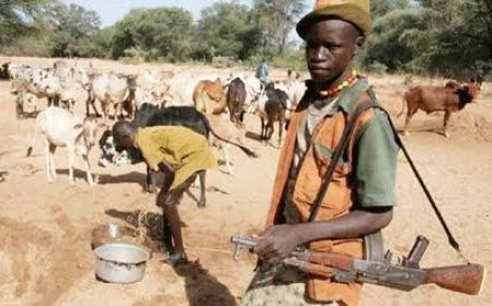 Nigeria: Insecurity Worsens - Herdsmen Kill 144 in Plateau, Benue in 14 Days