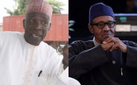 Buhari's Fake, the greatest fraud that happened to Nigeria — Buba Galadima