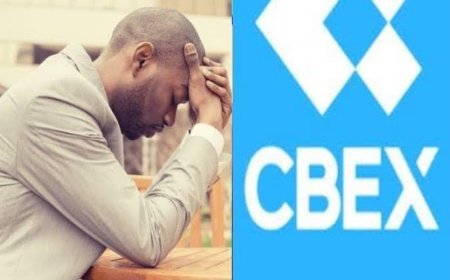 Nigerian leaders as CBEX Ponzi chancers