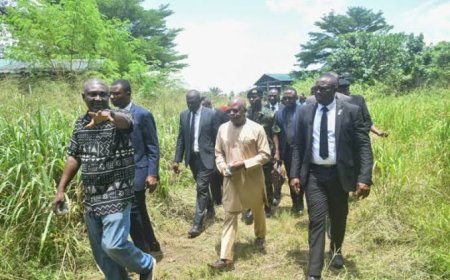 We'll Revive Songhai Farms Soon - Ibas
