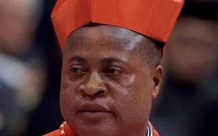 Peter Okpaleke, 17 Other Africans Among 135 Cardinals To Elect New Pope