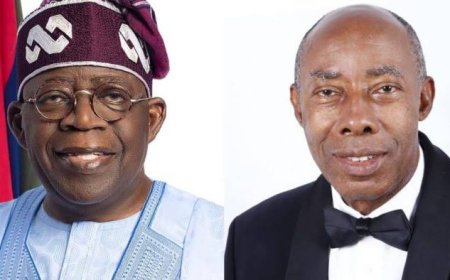 2027 Census: Igbo Won't Be Spectators In Their Own Country, Igbo Lawyers Protest S’East Exclusion From FG Census Panel