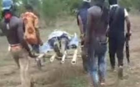 Kidnapping: 2 decomposing bodies discovered in Enugu community