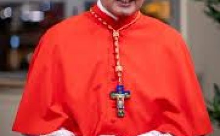 "There are no candidates in a conclave," says Filipino Cardinal David