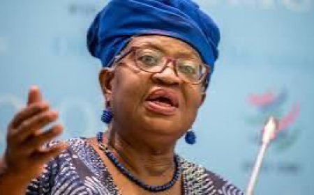 Okonjo- Iweala Says Trump’s Tariffs Will Have Minimal Impact On Africa