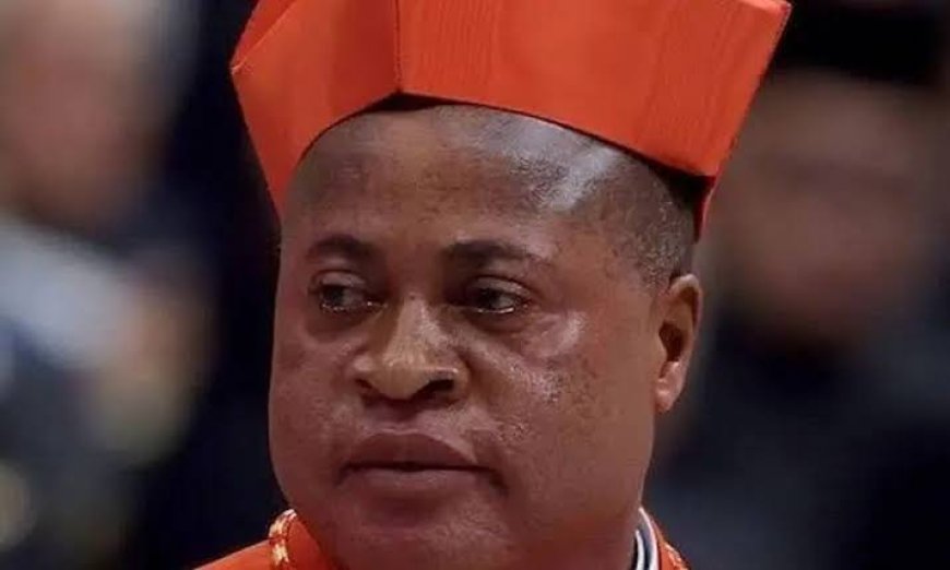 Peter Okpaleke, 17 Other Africans Among 135 Cardinals To Elect New Pope