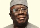 Tribute: Adebanjo, A Gladiator Of Truth, Says AfDB President Adesina