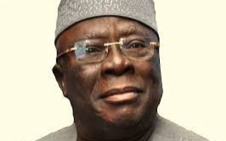Tribute: Adebanjo, A Gladiator Of Truth, Says AfDB President Adesina