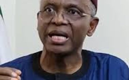 Former Kaduna Gov El-Rufai Demands Feyi Tinubu's Probe Over Alleged Torture of NANS President