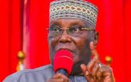 NANS Controversy: Atiku Asks Tinubu To Causion His Family