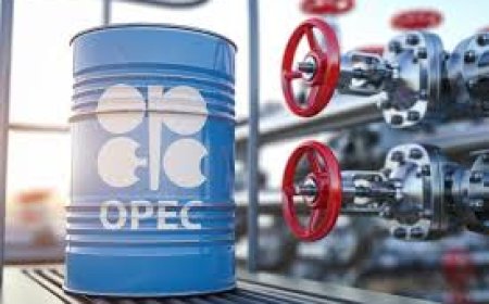 OPEC+ agrees another accelerated oil output hike for June