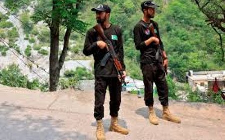 Pakistan says shot down 25 drones, India says it pushed back Pakistani retaliation