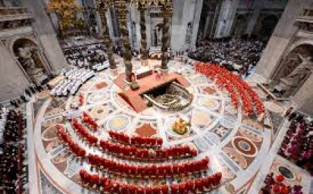 Vatican's Conclave of Colours