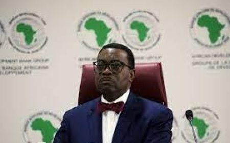 Reclaiming The Narrative: Adesina, Truth And Defence Of Accountability