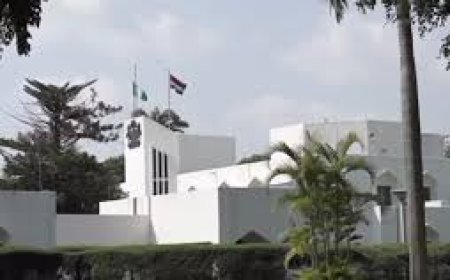 Aso Rock’s voodoo statistics and my friend, Al Venter