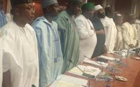 Northern Govs Back Creation Of State Police