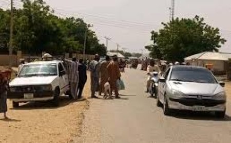 Terrorists Abduct Trailer Load of Travellers Between Anka and Gusau in Zamfara Saturday morning. 