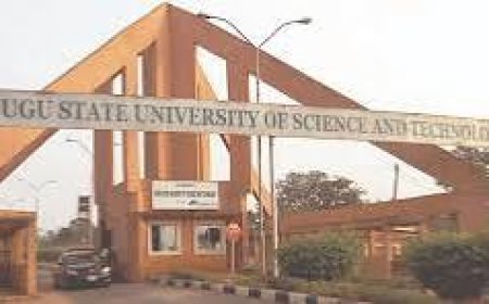 ESUT’s Growth Paradox: Unpacking The Obstacles