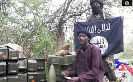 How Boko Haram Killed Officer, 7 Soldiers In Borno With Drones------ Sources