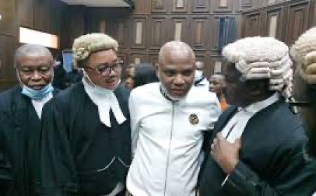 Nnamdi Kanu wasn't kept in solitary confinement, DSS official tells court | TheCable