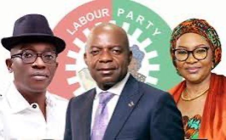 "Expose Us," Nenadi Usman Challenges Abure After Threats To Obi, Otti