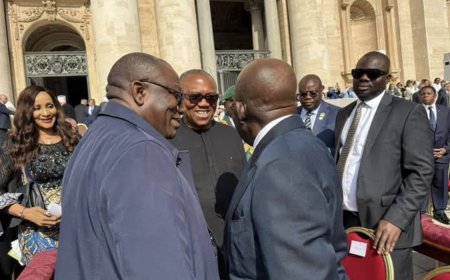 Tinubu, Peter Obi, Fayemi meet in Rome