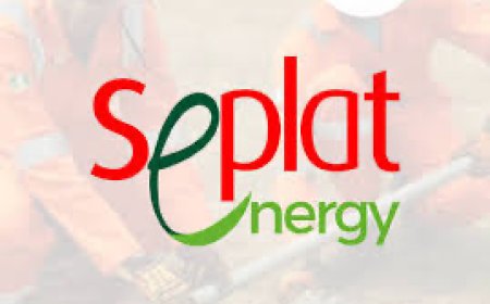 Seplat Energy’s 2024 Performance Surpasses Board’s Expectations, Says Chairman, Udo Udoma