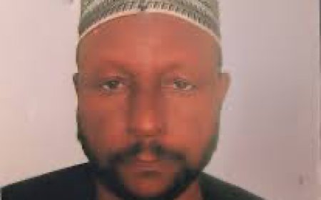 Court Jails Company CEO for 21 years Over N33.5m Fraud in Maiduguri 