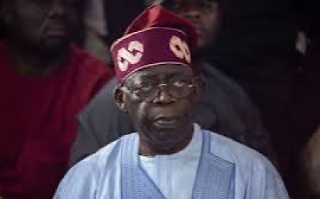 Tinubu’s lifejacket and a deer’s sacred skin