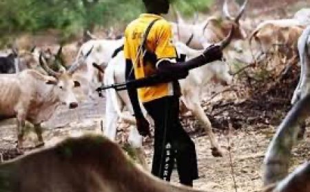 Armed Herders Kill Over 42 Residents In Fresh Attack On Benue Communities