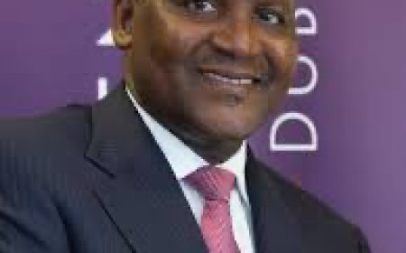 Dangote Group Moves To Crash Rice Price After Rabiu’s Pledge