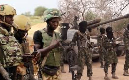Terrorists Kill Two Soldiers In Borno As Student Accidentally Kills Infantry Instructor While Training
