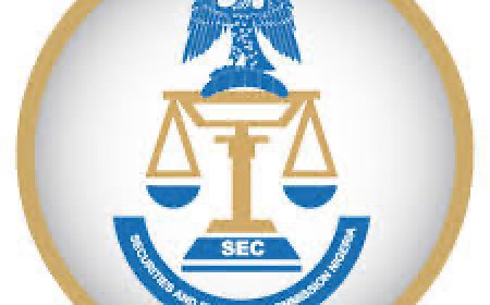 SEC warns Nigerians against unregistered Silverkuun investment scheme