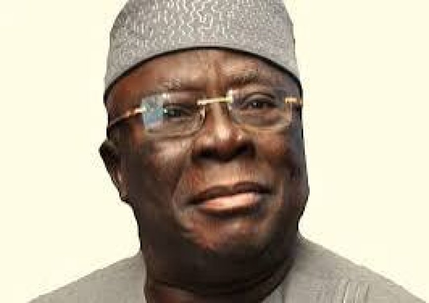 Tribute: Adebanjo, A Gladiator Of Truth, Says AfDB President Adesina