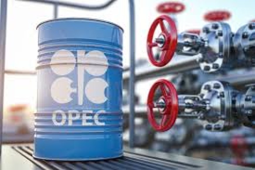 OPEC+ agrees another accelerated oil output hike for June